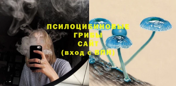 винт Няндома