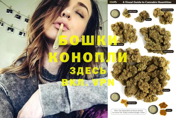 винт Няндома