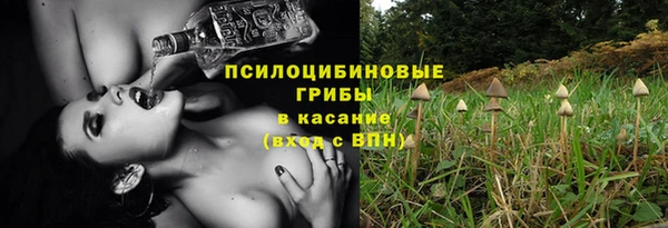 кристаллы Осинники