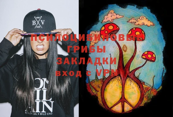 винт Няндома